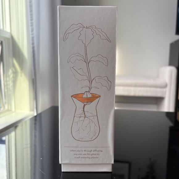 Paddywax Fig & Olive Reed Diffuser - Picture 4 of 5